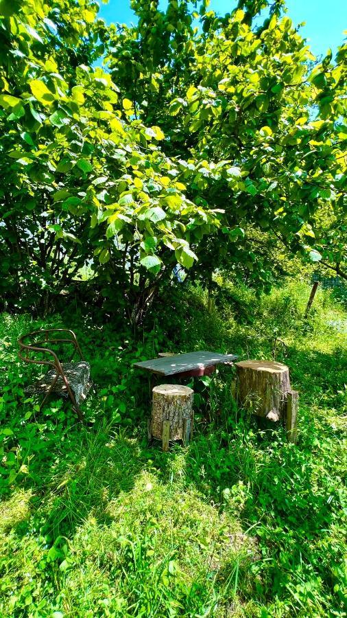 Mountain Top Getaway In Dilijan! Εξωτερικό φωτογραφία
