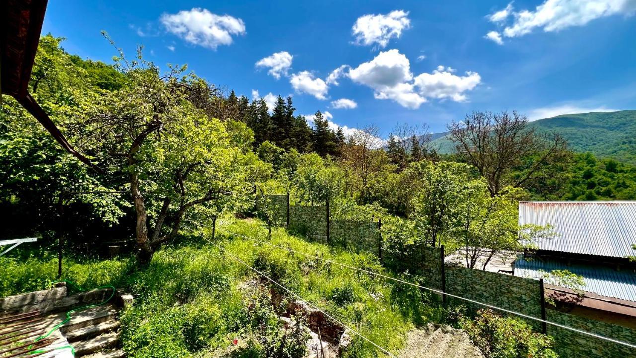 Mountain Top Getaway In Dilijan! Εξωτερικό φωτογραφία