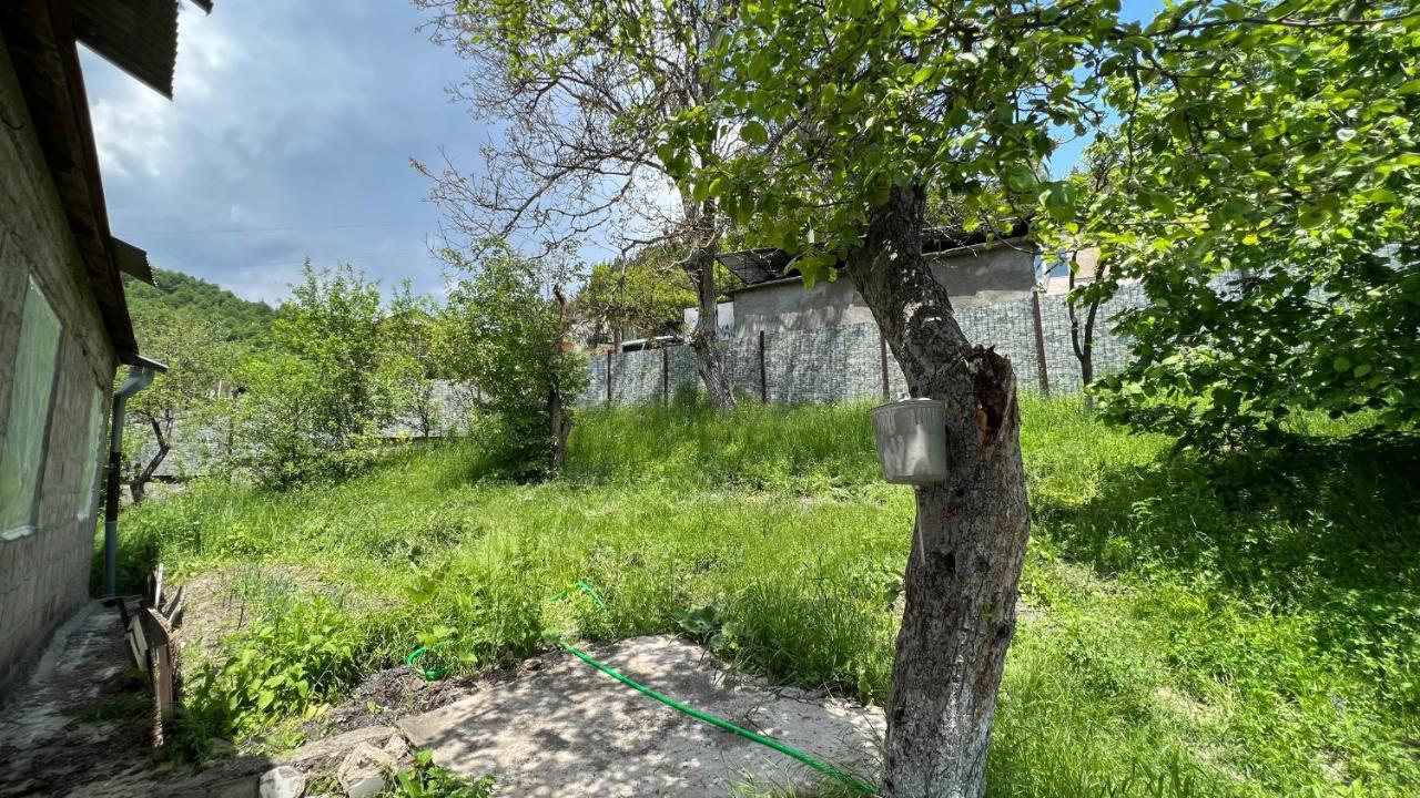 Mountain Top Getaway In Dilijan! Εξωτερικό φωτογραφία